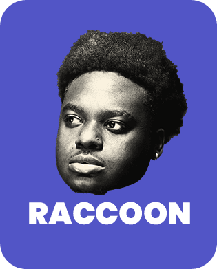Raccoon