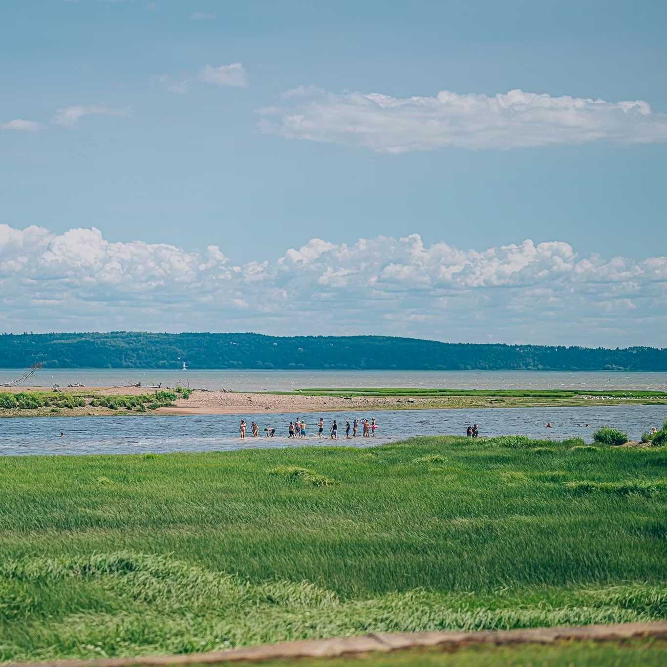 Vue à distance de baigneurs profitant du fleuve